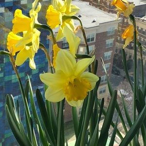 Meet your Posher, Reigna